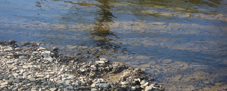 STONES ON SHORELINE